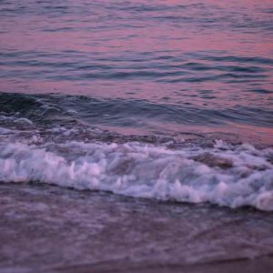 دانلود آهنگ دوستی دوستی ای به فدات جون و دلم